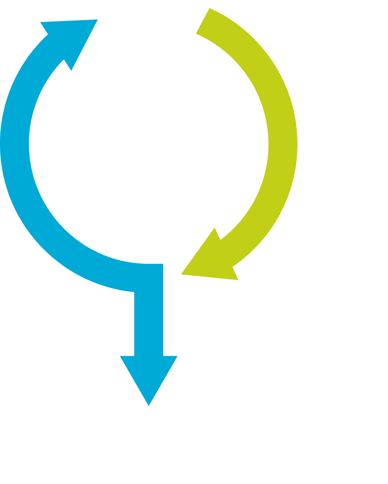 Feedback loop image: Overabundance of IL-1β can trigger a feedback loop, producing more IL-1β.